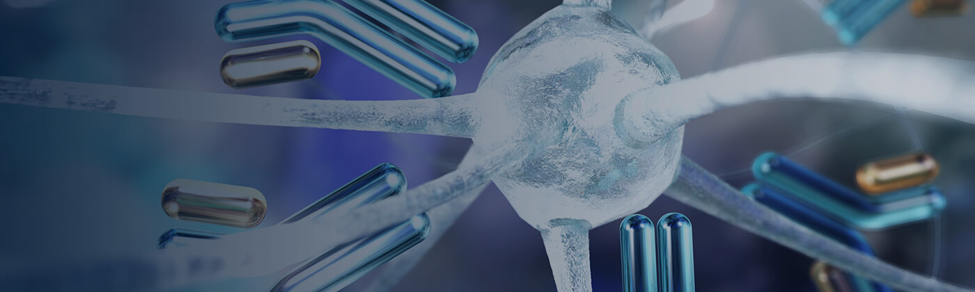 抗體發(fā)現(xiàn)服務(wù)