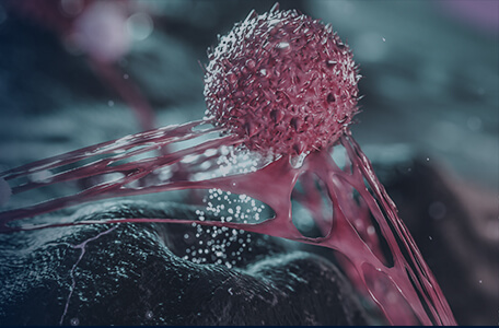 腫瘤新抗原鑒定服務(wù)