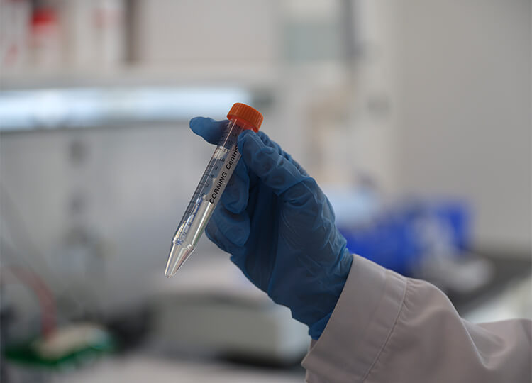 氨基酸測(cè)序中的技術(shù)難點(diǎn)