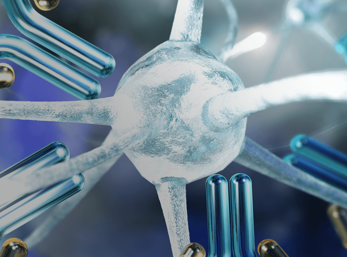 抗體發(fā)現(xiàn)服務(wù)