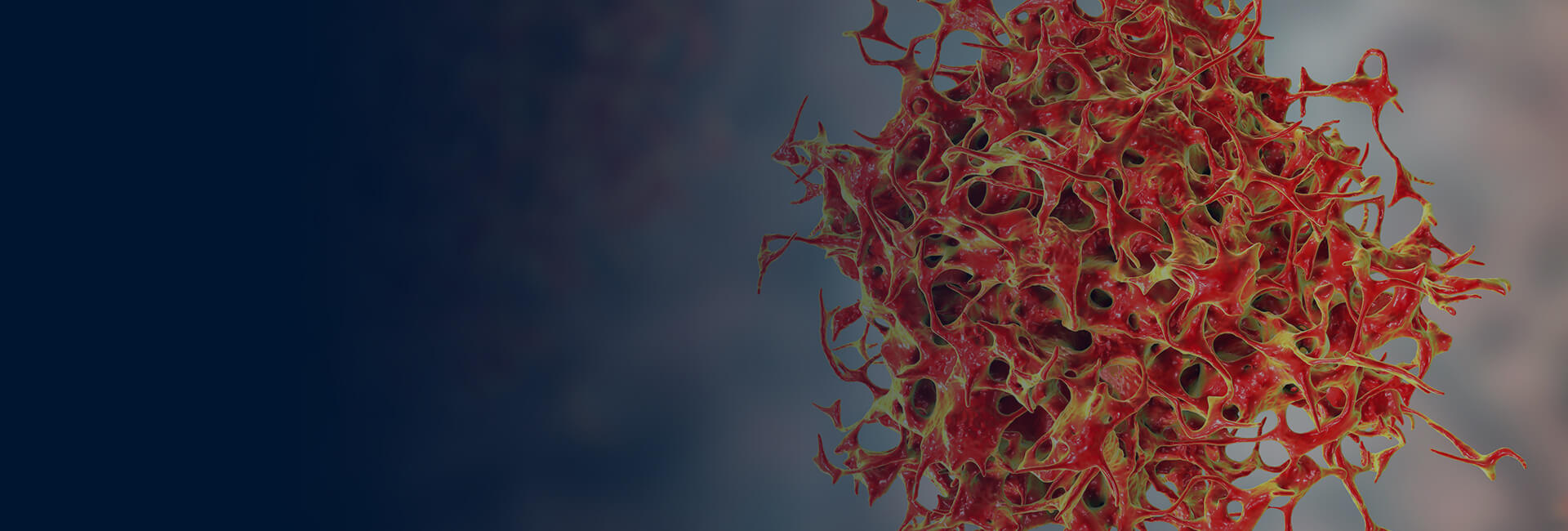 生物藥的開發(fā)