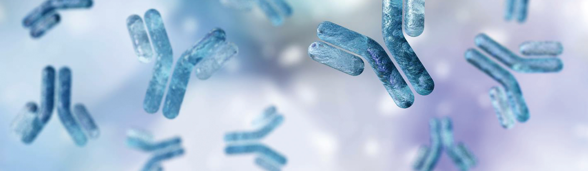 單克隆抗體測(cè)序